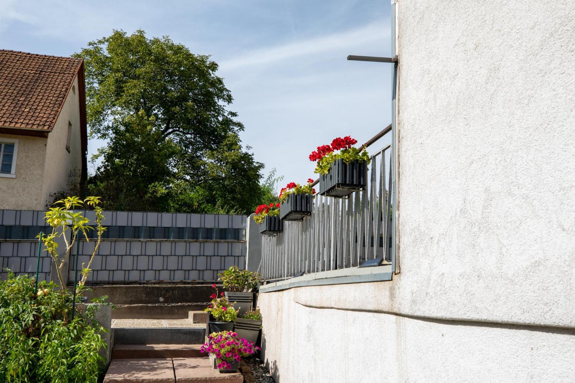 Hochrhein Ferienwohnung Albbruck Exterior foto
